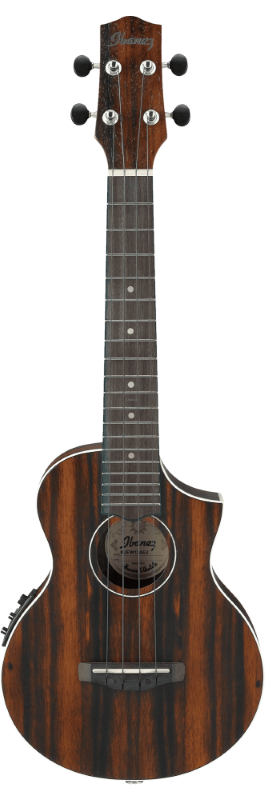 IBANEZ UEW13MEE-DBO