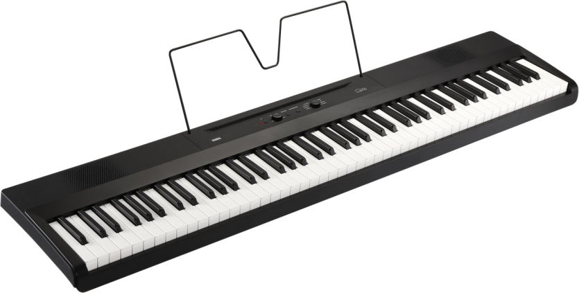 KORG L1 LIANO