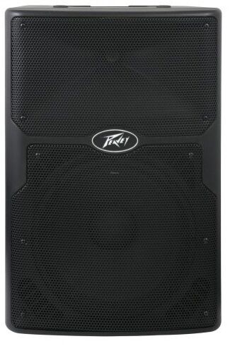 PEAVEY PVX15