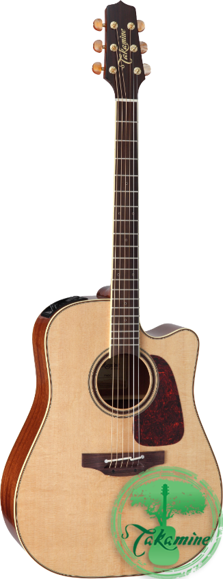 TAKAMINE P4DC