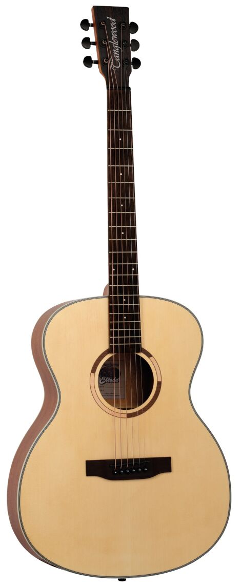 TANGLEWOOD TS3