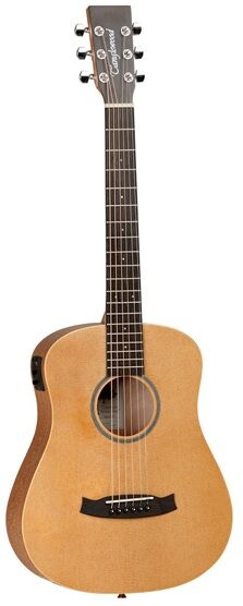 TANGLEWOOD TW2-TSE