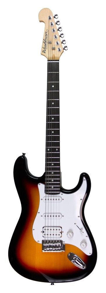 WASHBURN WS 300 H TS