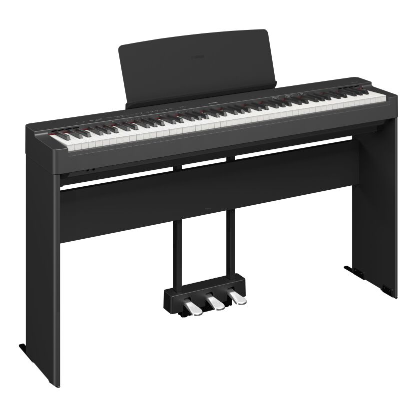 YAMAHA P-225B SET