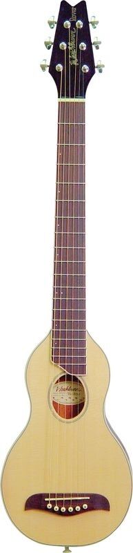 WASHBURN RO10 N