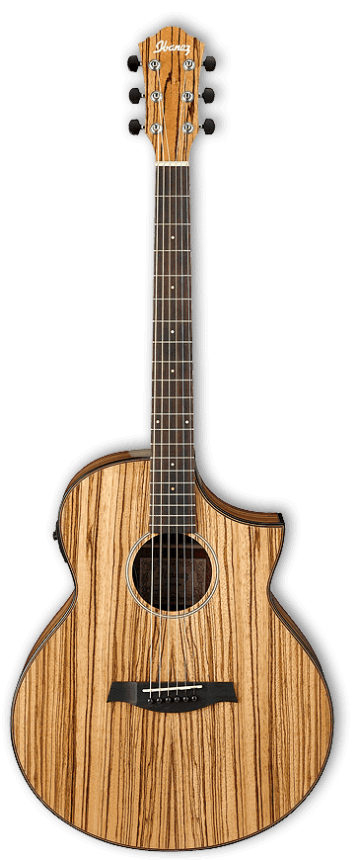 IBANEZ AEW40ZW-NT