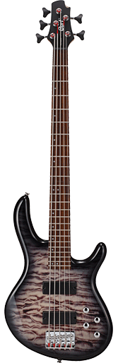 CORT ACTION DELUXE V BASS DLX FGB
