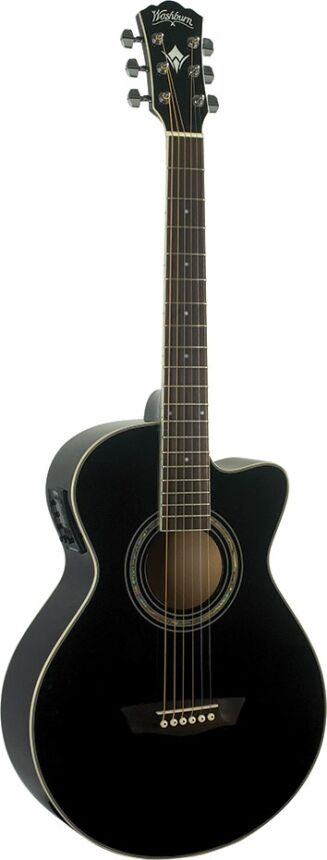 WASHBURN EA 10 B