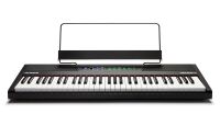 ALESIS RECITAL 61