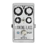 DIGITECH DOD LOOKING GLASS