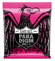 ERNIE BALL 2023 PARADIGM