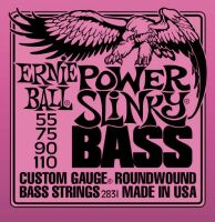 ERNIE BALL 2831