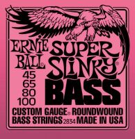 ERNIE BALL 2834