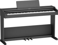 ROLAND RP107 BKX