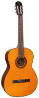 TAKAMINE GC1-NAT