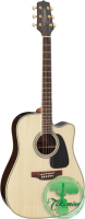 TAKAMINE GD51CE-NAT + POKROWIEC