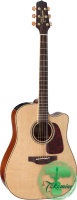 TAKAMINE P4DC