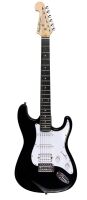 WASHBURN WS 300 H B