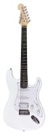 WASHBURN WS 300 H W