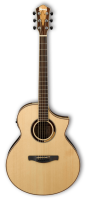 IBANEZ AEW51-NT