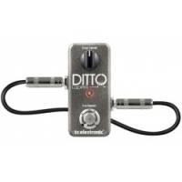 TC Electronic Ditto Looper Looper