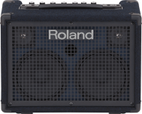 ROLAND KC-220