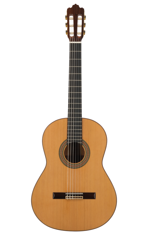 Prodipe Guitars Soloist 900 4/4 - gitara klasyczna