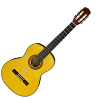 ARIA A-30S (N) • gitara klasyczna