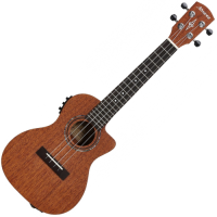 ALVAREZ RU 22 C CE • ukulele