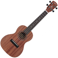 ALVAREZ RU 22 C • ukulele