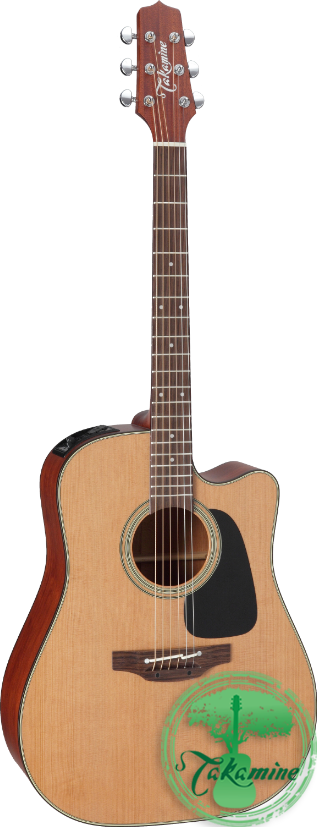 TAKAMINE P1DC