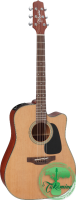 TAKAMINE P1DC