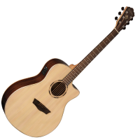 WASHBURN WLO 20 SCE (N)