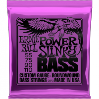 ERNIE BALL EB 2831