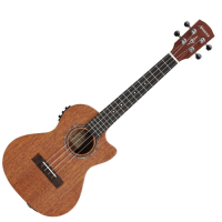 ALVAREZ RU 22 T CE • ukulele