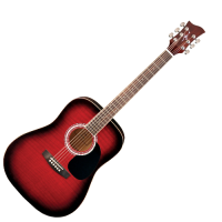 JAY TURSER JJ 45 (FRSB) • gitara akustyczna