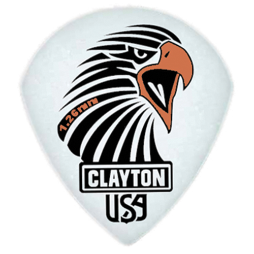 STEVE CLAYTON SAST 126 / 12