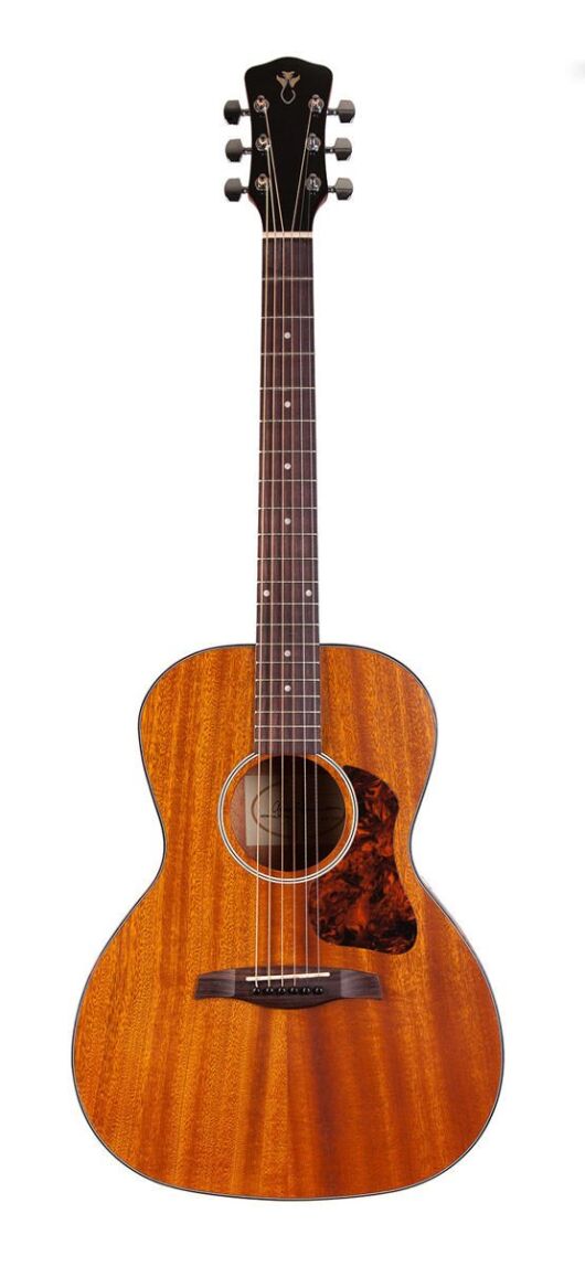 Levinson LG-222 OPN - gitara akustyczna