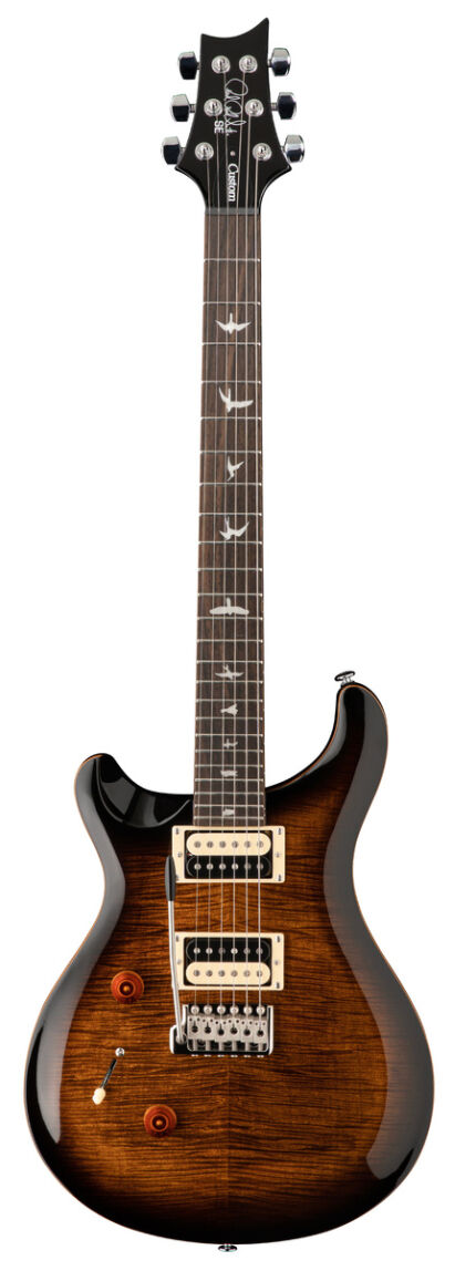 PRS SE Custom 24 