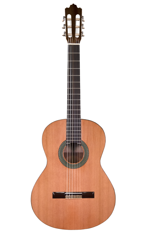 Prodipe Guitars Recital 300 4/4 - gitara klasyczna