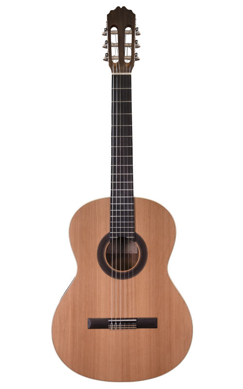 Prodipe Guitars Student 4/4 - gitara klasyczna