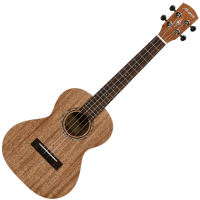 ALVAREZ RU 22 T • ukulele